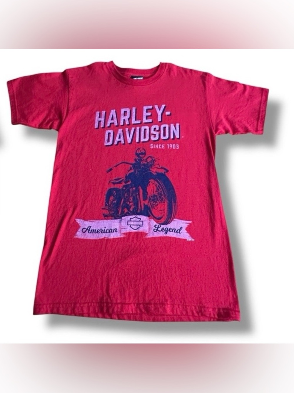 Men’s Harley-Davidson 2019 Fort Myers Florida T-Shirt
